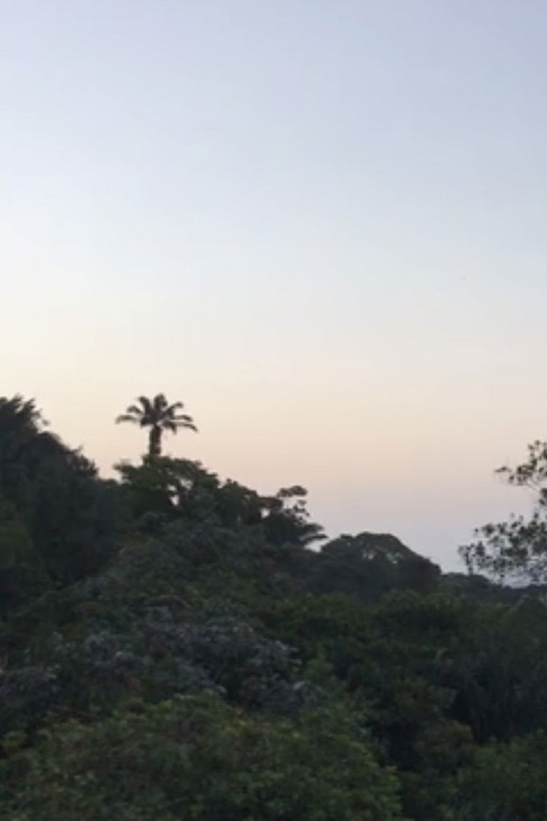 Imatge de new moon love