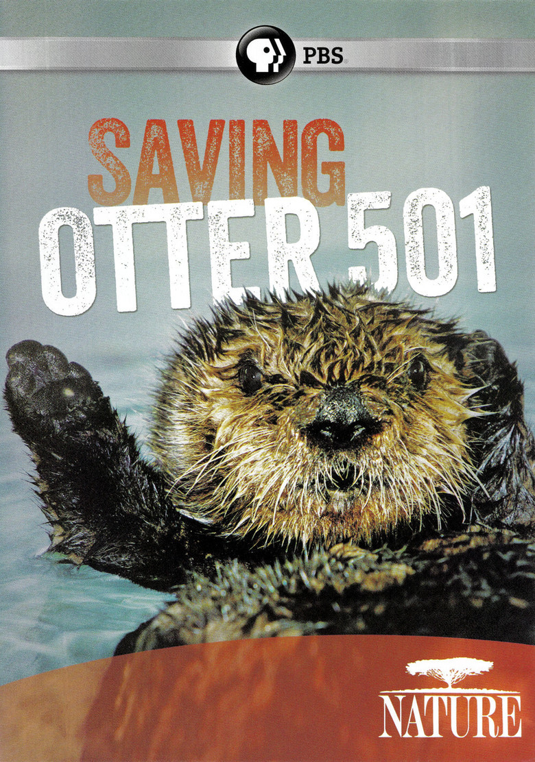 Imatge de Saving Otter 501