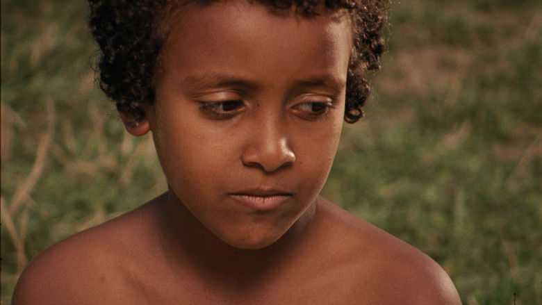 Gallery image from fUjT9nYs2gN1pxdvP8PrFo3l1hE.jpg