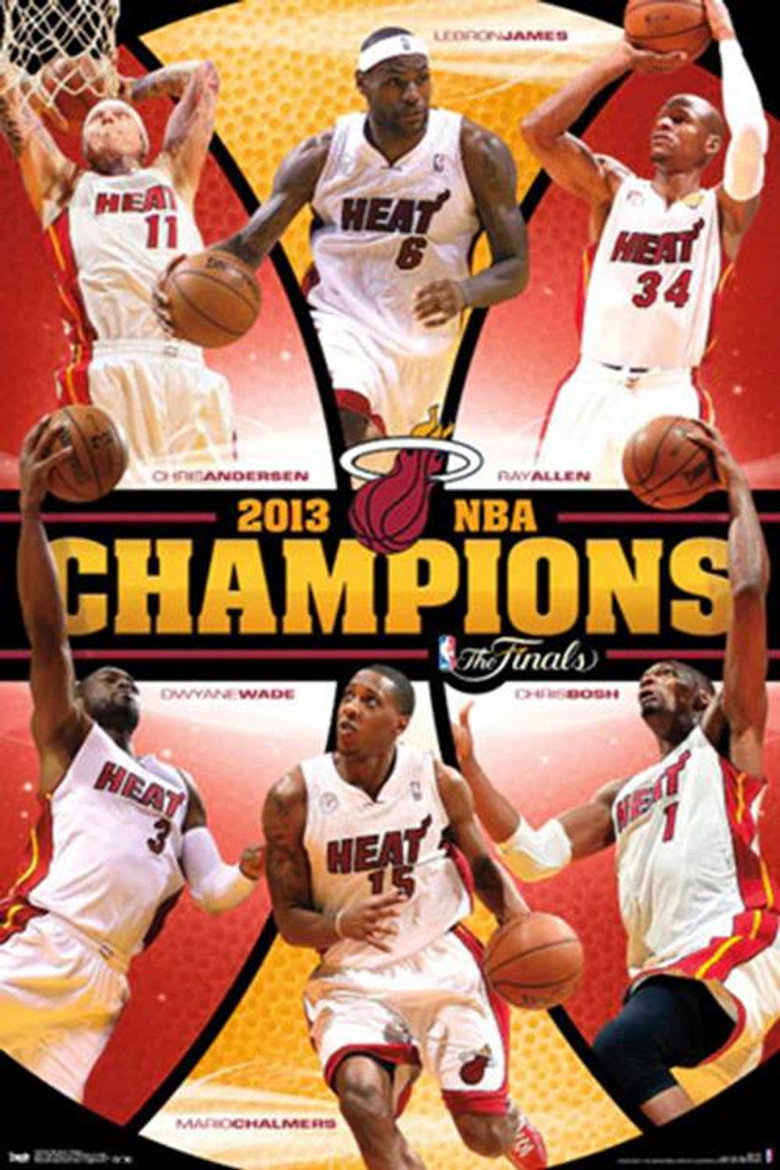 The 2013 NBA Finals