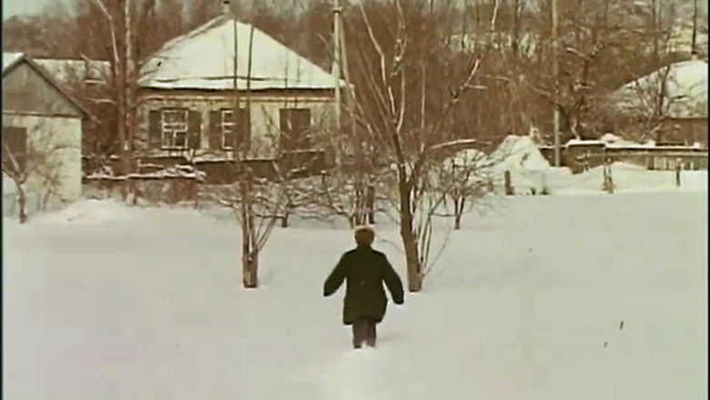 Gallery image from fUoYOuIv8I5MSG3agTRql3Mct7E.jpg