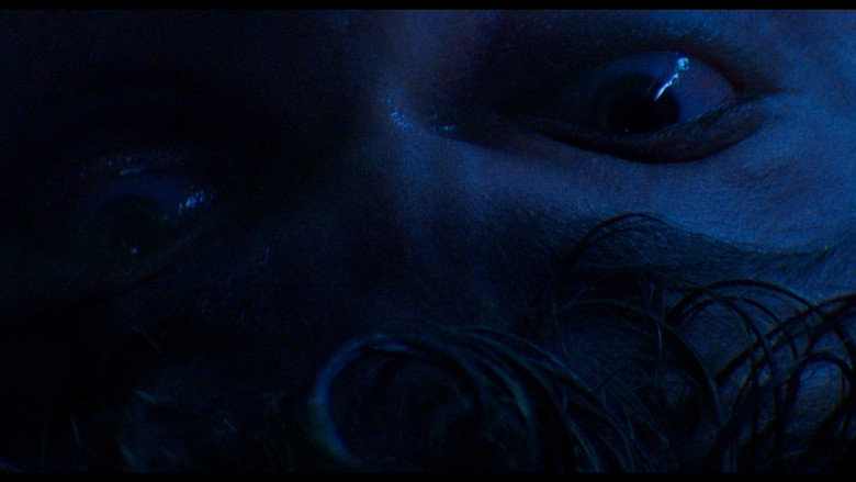 scenes 5