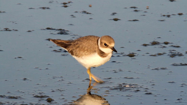 Still image for Britain's Most Beautiful Landscapes season 1 episode 3: Snowdonia