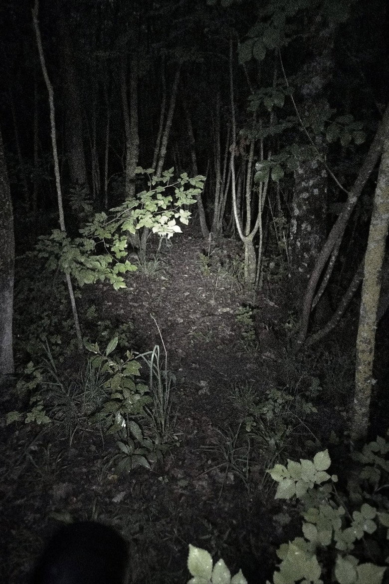 Imatge de Untitled Found Footage Project
