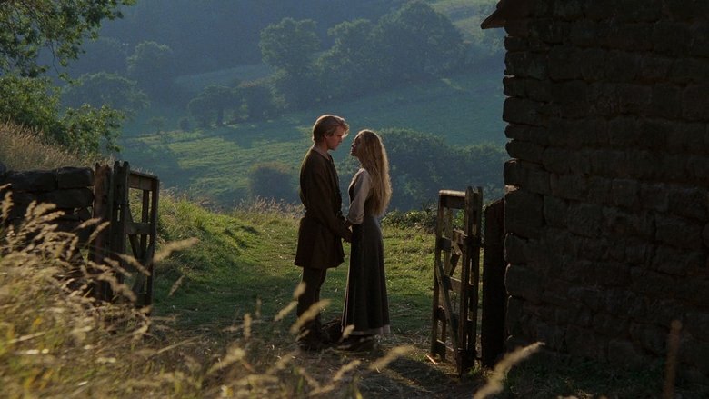 The Princess Bride poster watch The Princess Bride now