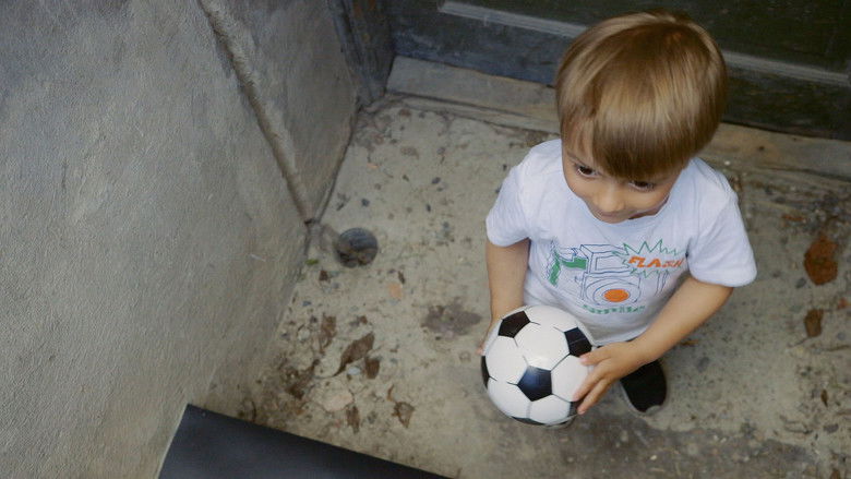 Still image for Bo Bear season 1 episode 13: Episode 13