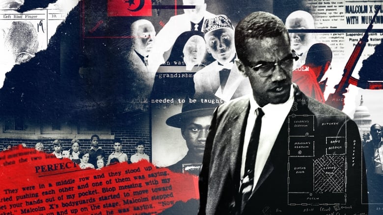 Voir Qui a tué Malcolm X ? en streaming sur streamizseries.com | Series streaming vf