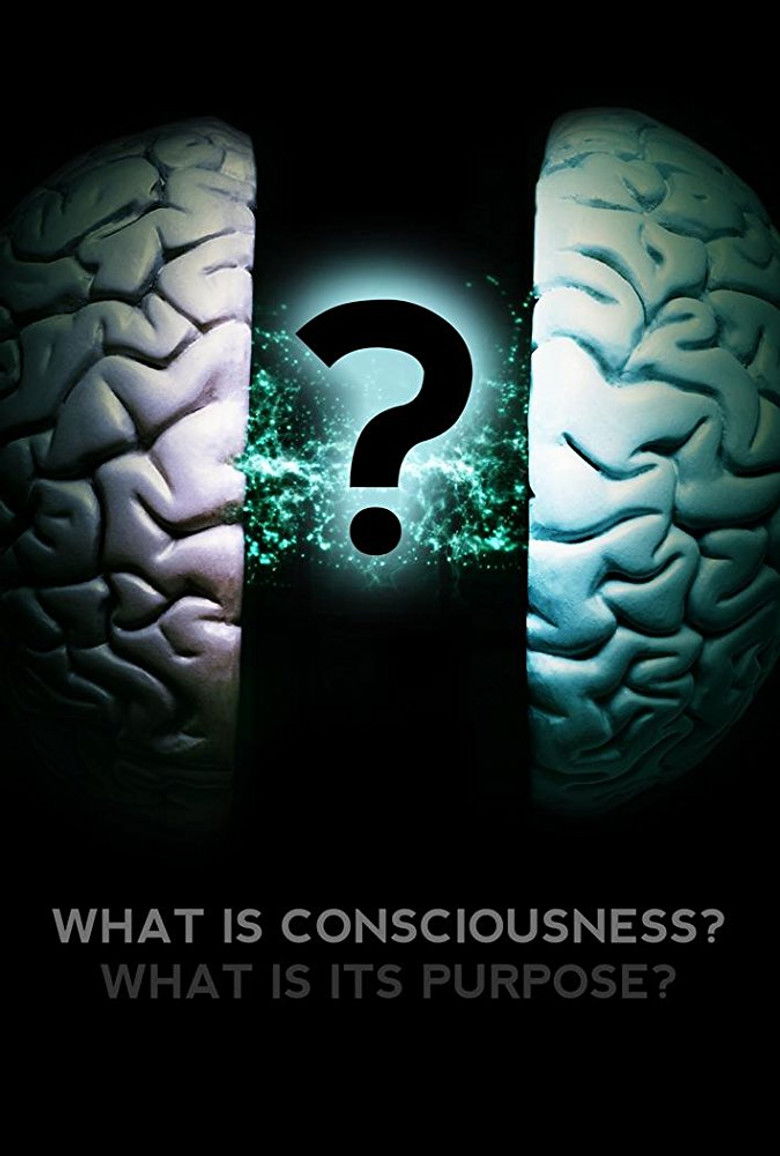 What Is Consciousness? What Is Its Purpose?