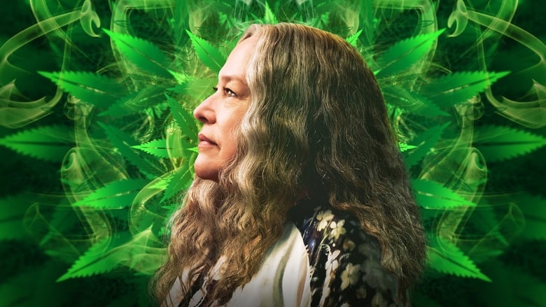 Voir Disjointed en streaming sur streamizseries.com | Series streaming vf