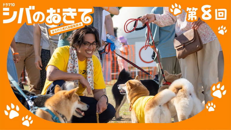 Still image for Shiba no Okite: Warera Inu Baka Henshu Bu season 1 episode 8: Episode 8