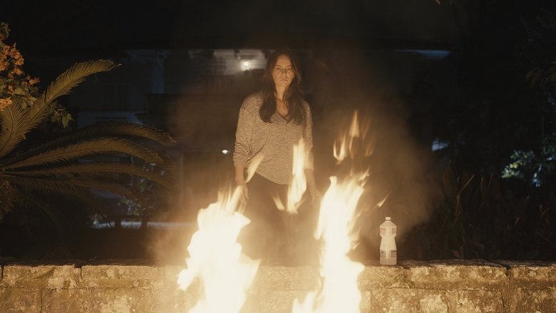 Heran&ccedil;a de Narcisa (2025)