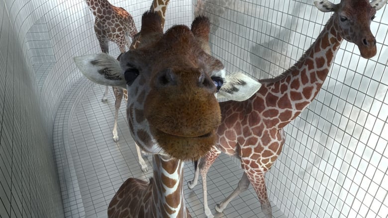 Gallery image from fYxi92Nuyq1s9bTJyMS2aSOvHjm.jpg