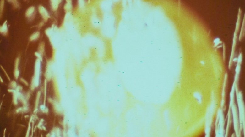 Essential (1970)