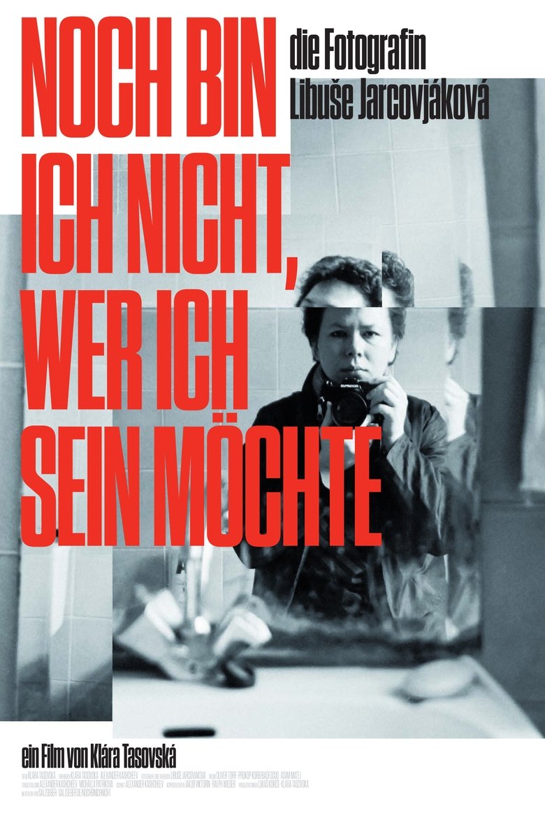 Noch bin ich nicht, wer ich sein möchte poster