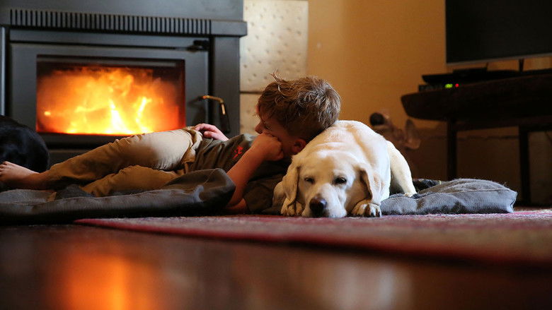 Still image for Top Jobs for Dogs season 1 episode 1: Happy Tails Still image for Top Jobs for Dogs season 1 episode 1: Happy Tails