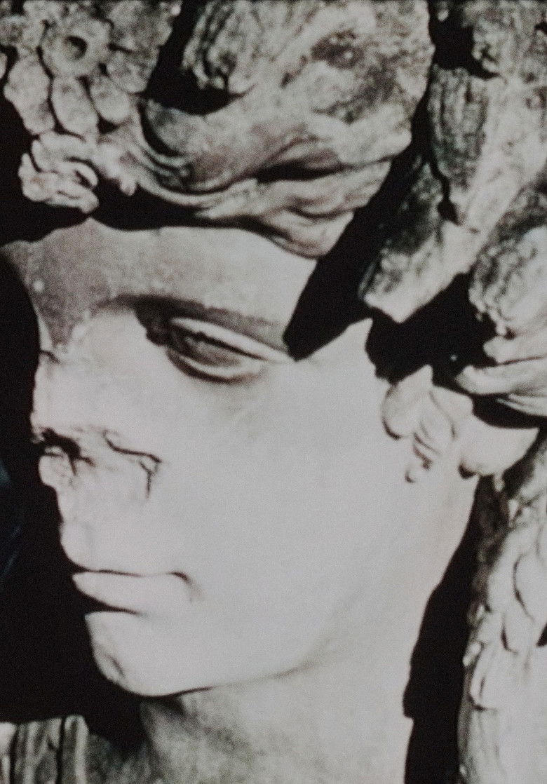 Imatge de Bagatelle for Willard Maas