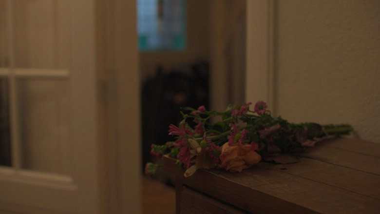 Imatge de 25 Dagen