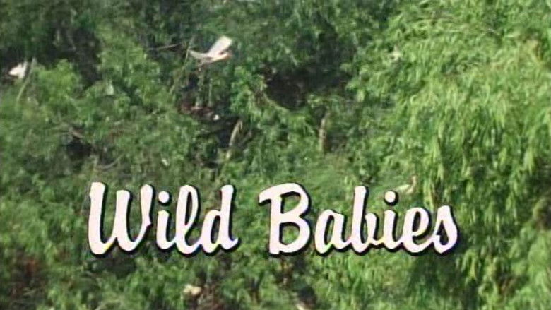 Still image for Marty Stouffer's Wild America season 1 episode 10: Wild Babies Still image for Marty Stouffer's Wild America season 1 episode 10: Wild Babies