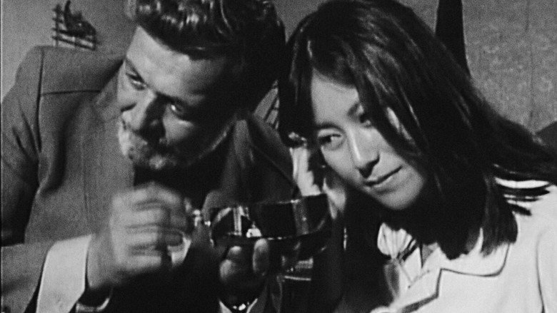 Imatge de 春・音の光