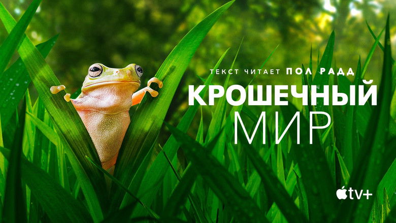 Gallery image from fbWgKdg5zVe6IEsAjmTQzNYotMU.jpg