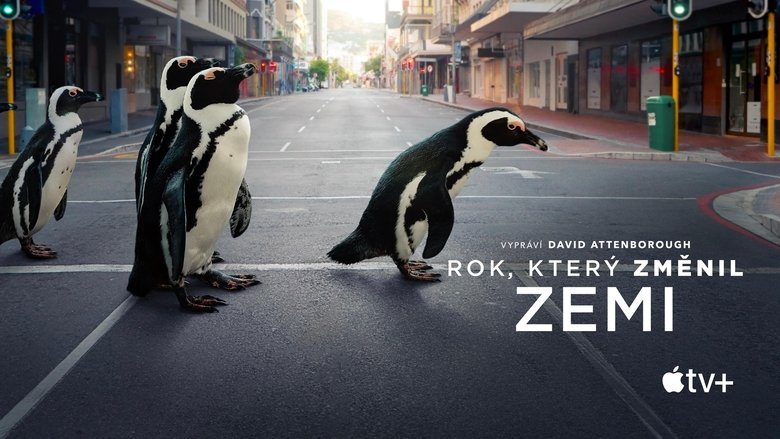 Gallery image from fbYDq8PD9Esh3wteaJ3aEibJA6j.jpg