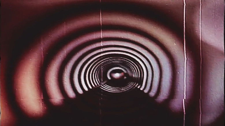 Gallery image from fbZEfwN7t0T8l4CZIbHikTKJYXF.jpg