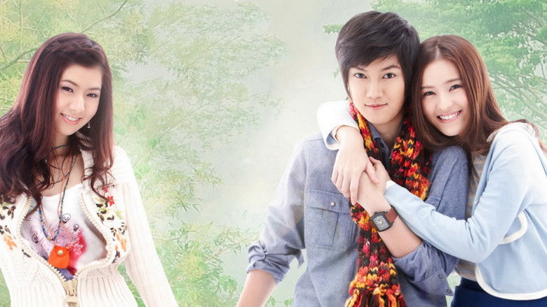 Backdrop de Yes or No