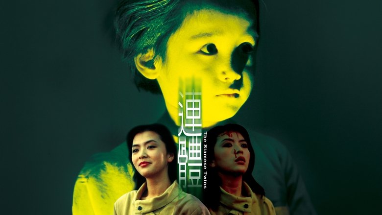 Gallery image from fcMuN51RiNtiOIz1KMy7CAkU1Y3.jpg