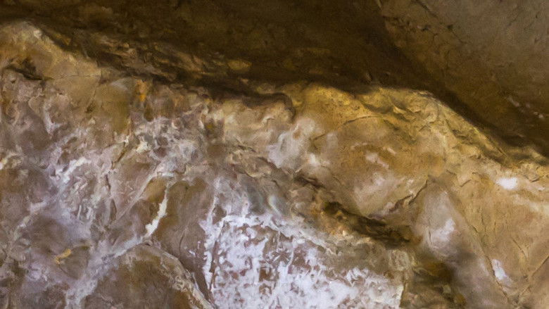 Riding Horses with Mongolian Nomads