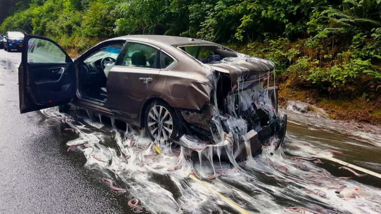 Strange Evidence 4×6