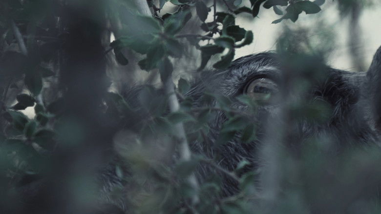 Gallery image from fdvavU9tErNOMnMdWEYhvr3daWd.jpg