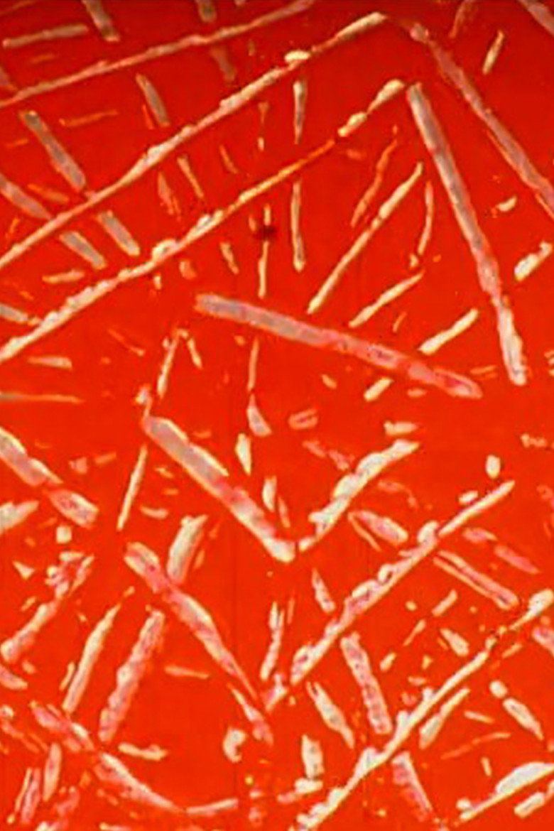 Suite Poursuite background