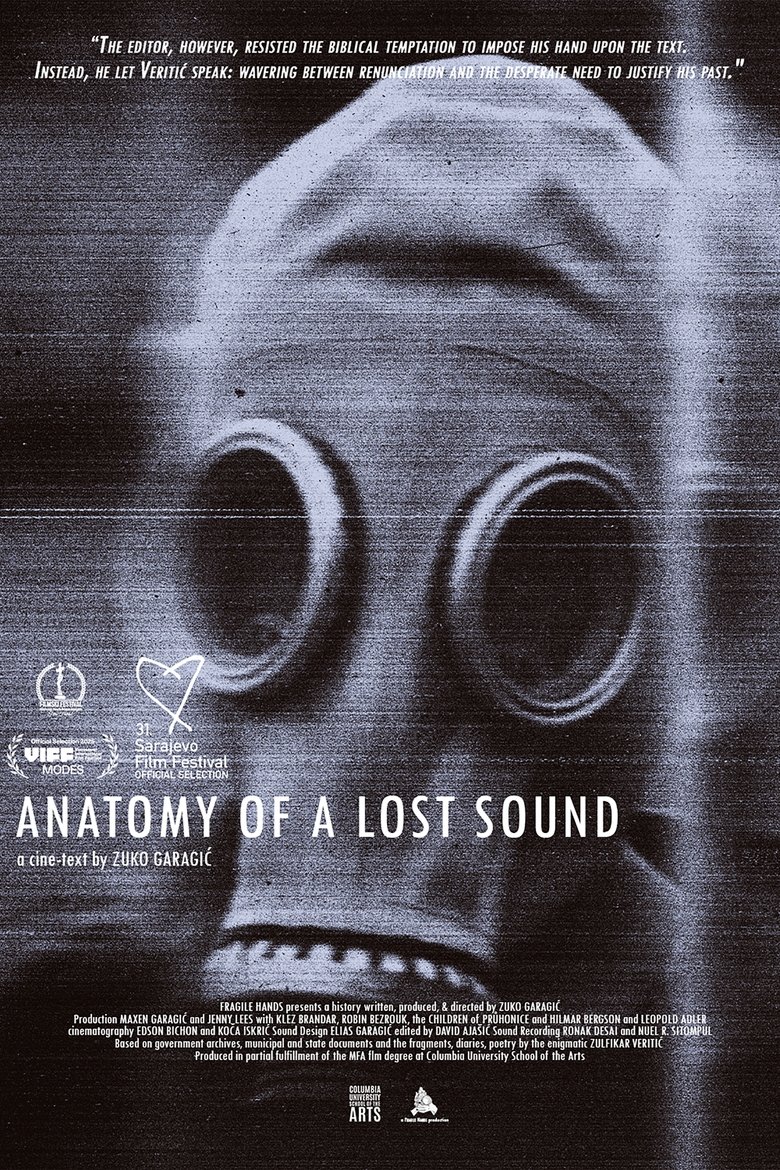 Anatomija izgubljenog zvuka poster