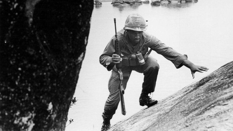 Gallery image from feb5lP50DdRwb6IIDXToDIS9rki.jpg