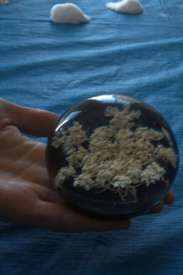 Imatge de The Universe According To Dan Buckley