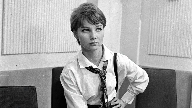 Gallery image from ffRnwHu30x8BRYwKXLj1KWX53jf.jpg