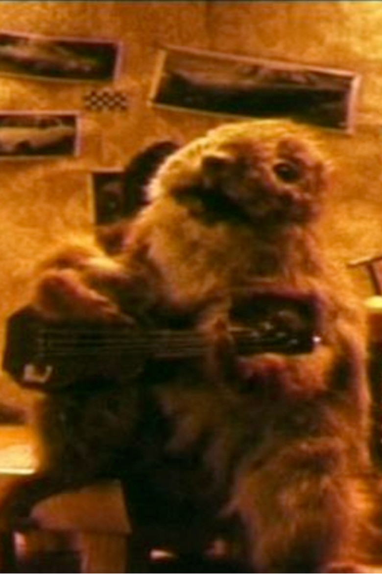 Imatge de Liitäjät