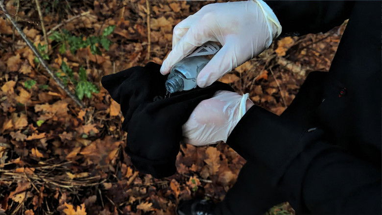 Imatge de Femte Mission