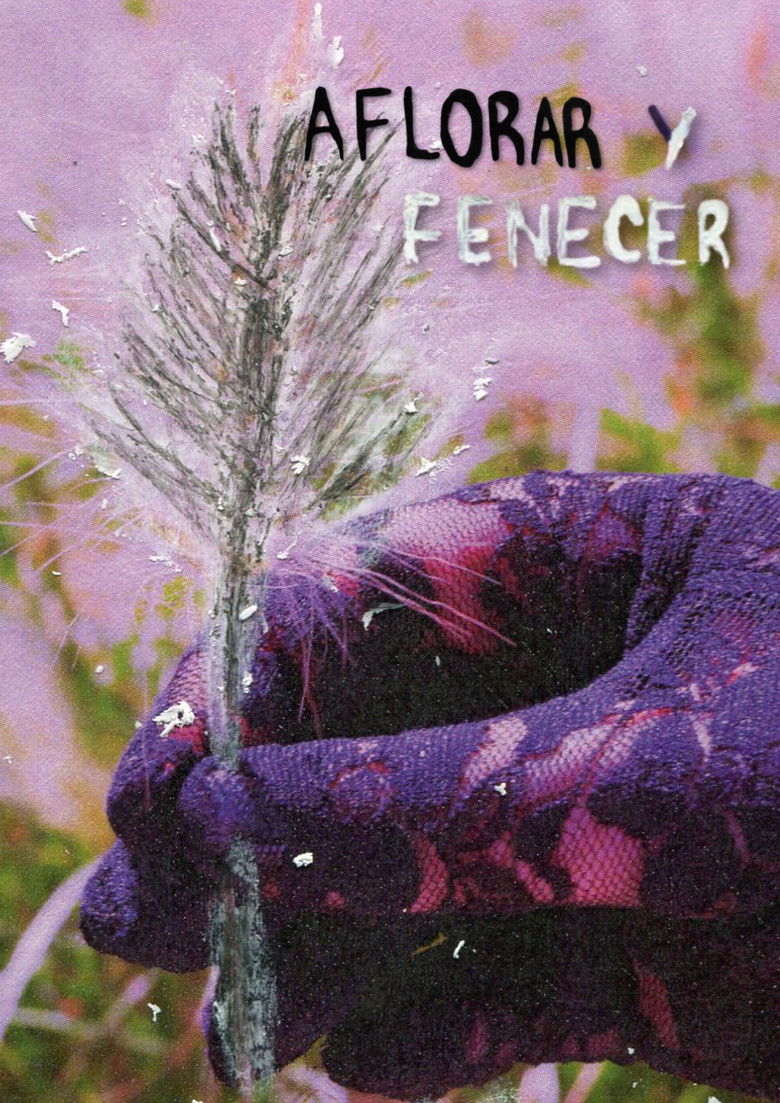 Imatge de Aflorar y Fenecer