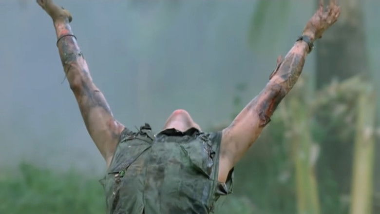 Fj5sx5fpfyofor9p1h9k4slae6o