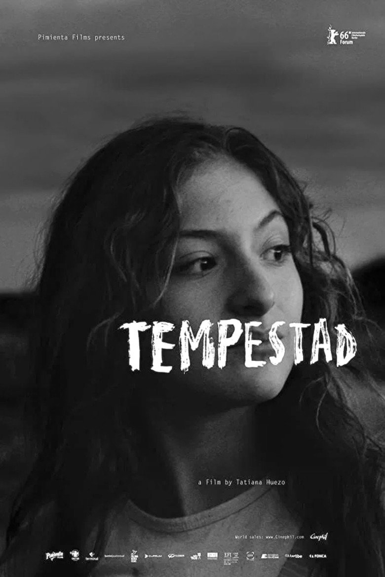Imatge de Tempestad