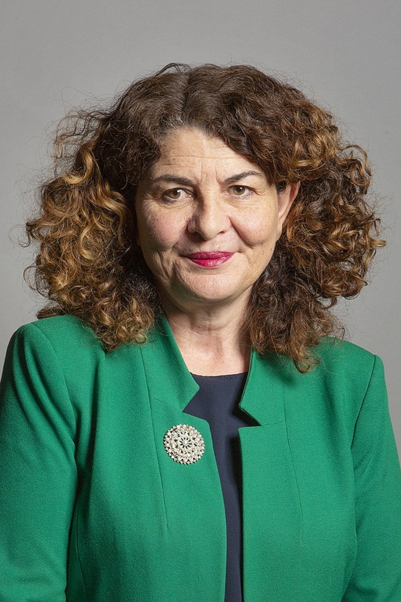 Diana Johnson portrait
