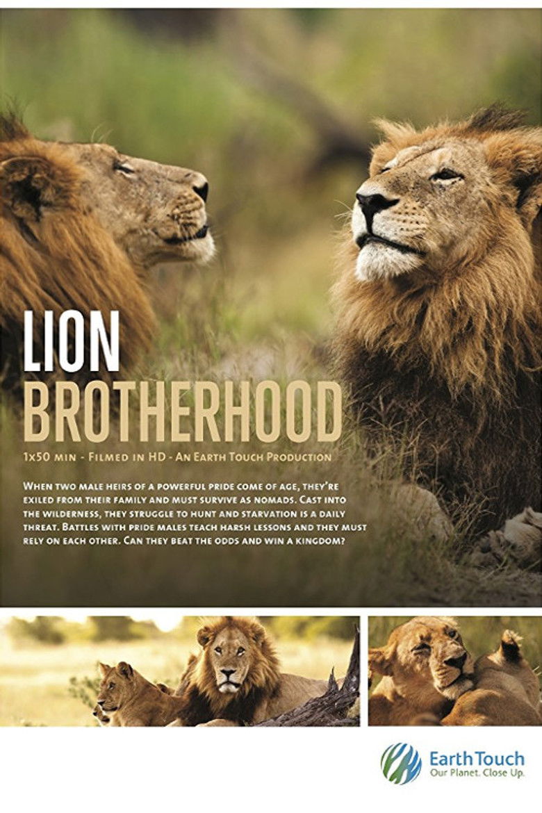 Imatge de Lion Brotherhood