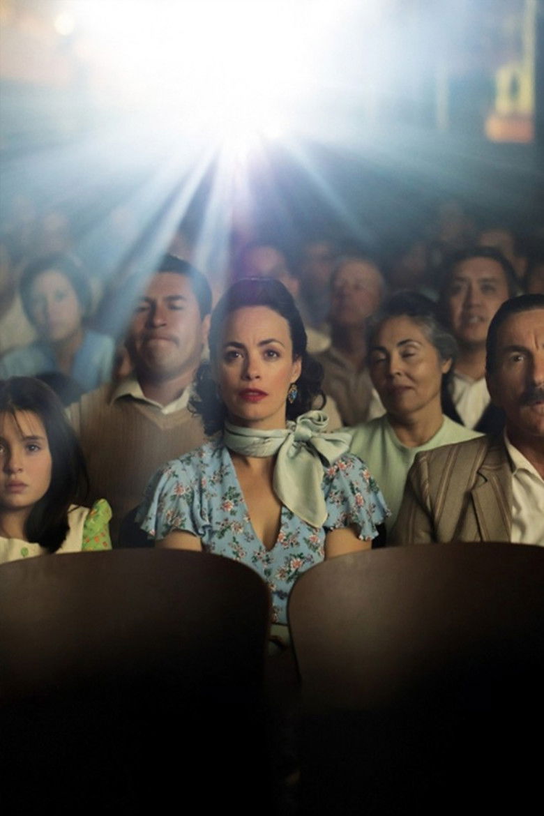 Imatge de La narradora de pel·lícules