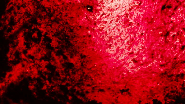 Imatge de Landfill 16