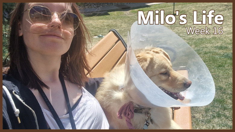 Still image for Milo's Life season 1 episode 16: The End of an Era | Week 16 Still image for Milo's Life season 1 episode 16: The End of an Era | Week 16