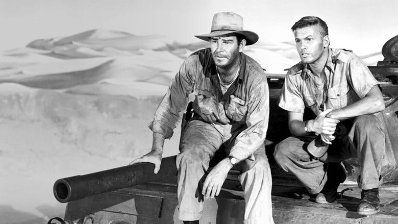 The Steel Lady Photo 2