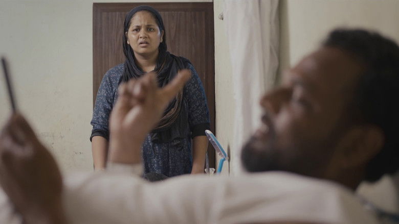 Gallery image from fm02EEAXQpfi0lCyYfIj3YvOS0o.jpg