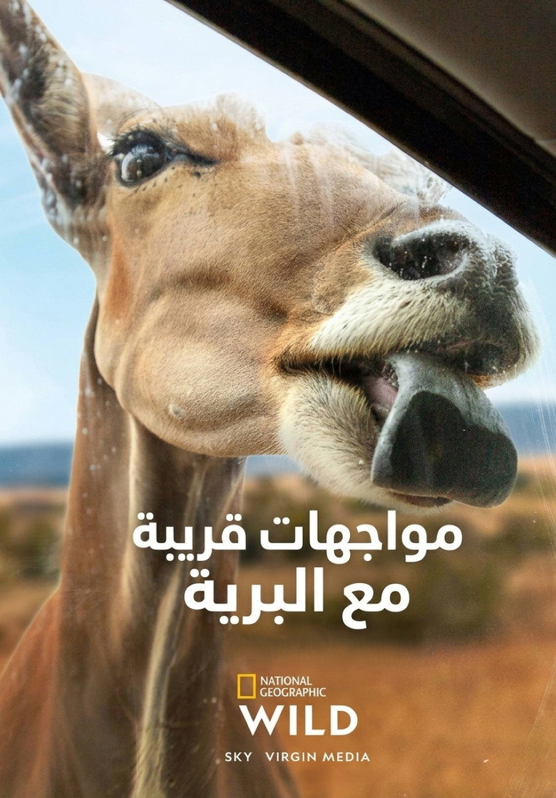 مواجهات قريبة مع البرية