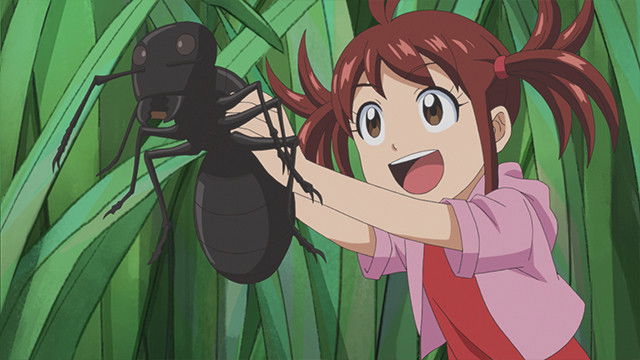 Still image for Surviving Science! season 1 episode 4: Insect world survival (1) Still image for Surviving Science! season 1 episode 4: Insect world survival (1)